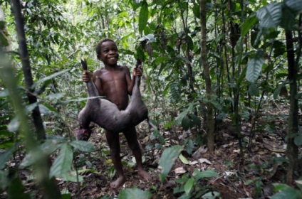 Pygmies - trib pitic, Africa