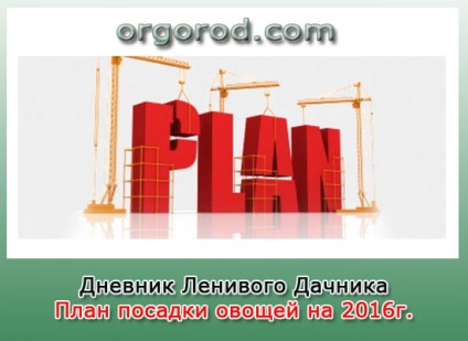 Plan de plantare pentru legume în 2016g