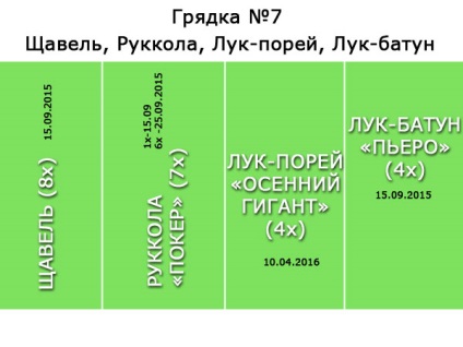 Plan de plantare pentru legume în 2016g