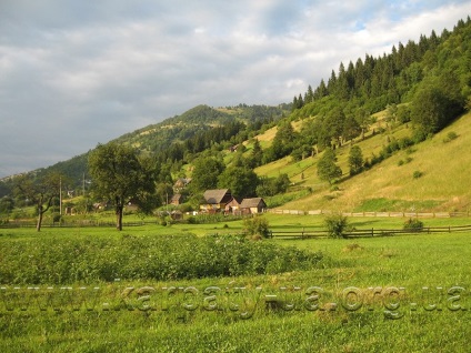 A plătit pescuitul