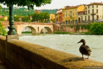 De ce merită să veniți la Verona pe blogul turistic veronatopguide pe