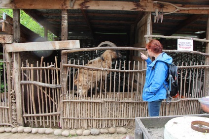 Kirándulás a hegyi gyűrű vízeséseihez, a Kislovodsk park