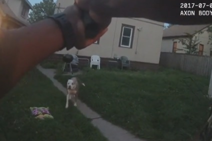 Polițistul care a împușcat câini domestici în nordul Statelor Unite a fost prins în minciuni, pe canalul TV 360