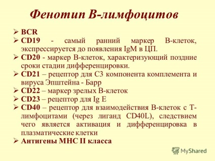 Prezentare pe tema - sistemului de imunitate