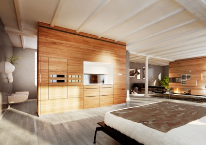 Exemple și opțiuni pentru decorarea apartamentelor ideii viitoare în 25 de ani