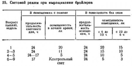 Producția de carne de pui - totul despre animale