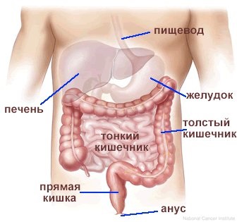 Psihologia iubirii