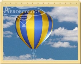 Baloane și dirijabile publicitare, producția de baloane publicitare, bile gonflabile, dirijabile