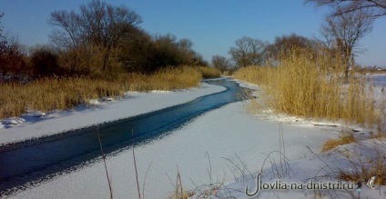 Риболовля на Новоайдар, річка айдар і ловля риби