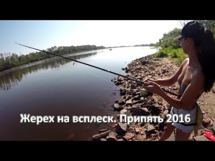 Horgászat a pripyat sazan a feeder on