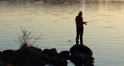 Horgászat augusztusban az Akhtubában és a Volga-halász naptárában