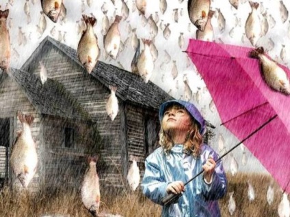 A hal eső a természet titokzatos jelensége