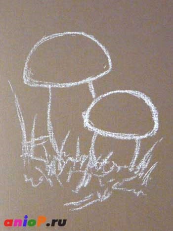 Desenarea ciuperci albe în pastel - desene de lecție cu creioane și pasteluri