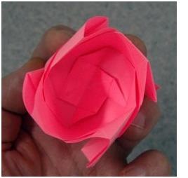 Rose origami az összeszerelési sémákban és a fotó mester osztályban