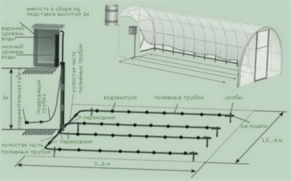 A földimogyoró termesztésének titkai egész évben gondozottak