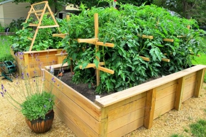 Secretele de cultivare a legumelor în paturi calde