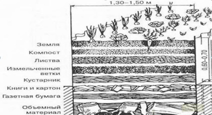 Secretele de cultivare a legumelor în paturi calde