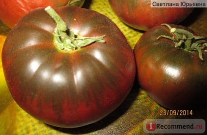 Semințe aelita tomato cream-brulee - 