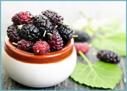 Mulberry proprietăți utile, contraindicații, beneficii și rău