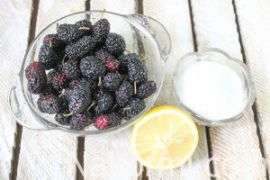 Mulberry cukorral dörzsölte a téli receptet fotóval