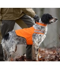 Vesta de semnalizare pentru un câine - toate pentru câinii de vânătoare