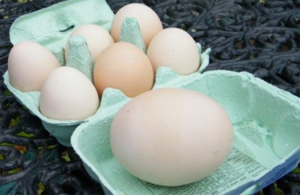 Cât de multă proteină este în albușurile ouălor, auto-hipocrate