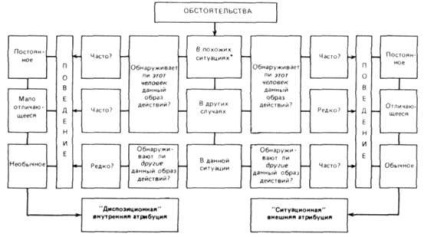 Stereotipurile sociale ca fenomen psihologic