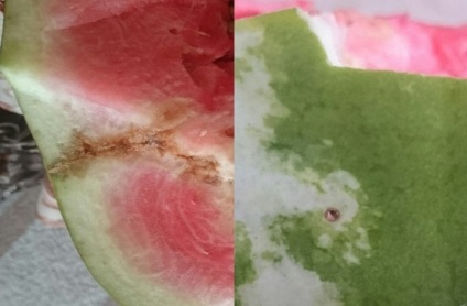 Injectarea specialiștilor în pepenele verzi este un mit
