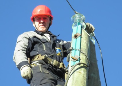 Au tăiat și au uitat în cartierul Muezersky, pădurea care a căzut în pădure de ani de zile putrezind în parcele, Petrozavodsk spune,