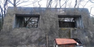 Tipuri și dimensiuni de panouri din beton din beton