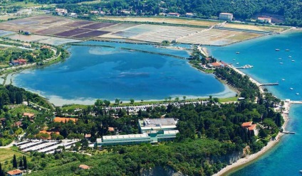 Thalasso String, minden, ami a thalasso strianjan gyermekekkel való vakációról szól a portálon