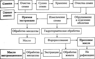 Tehnologia producției de ulei de floarea-soarelui