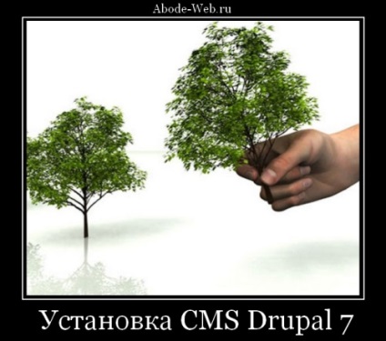 Instalarea cms drupal 7, blogul dezvoltatorului web
