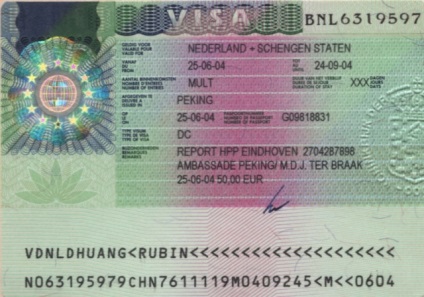 Visa către Olanda în 2017 pentru ruși, documente pentru procesarea vizelor