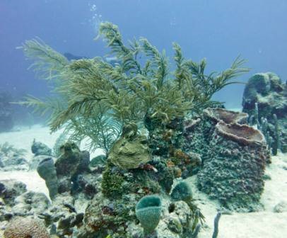 Mindent a vakációról Playa del Carmenban Vélemények, tippek, utazási útmutató