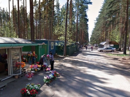 Cimitirul Vsevolozhskoe nr. 2, adresa Vsevolozhsk, cum se ajunge