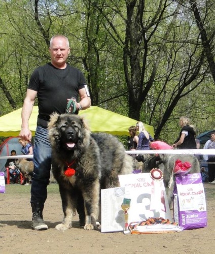 Expoziția Națională Xxii - câinii ciobănești caucazieni din Rusia 2016