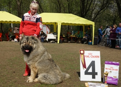 Expoziția Națională Xxii - câinii ciobănești caucazieni din Rusia 2016