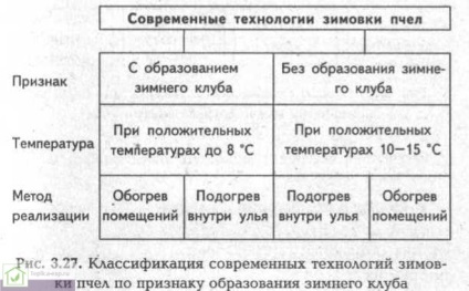 Albinele sălbatice într-o seră din policarbonat - recomandări ale apicultorilor