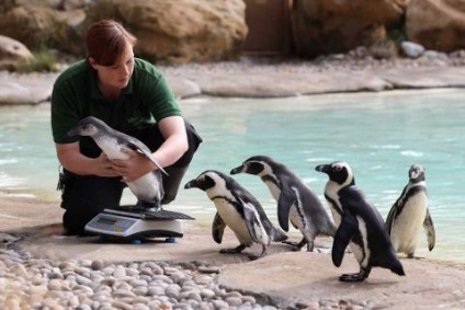 10 cele mai neobisnuite grădini zoologice din lume