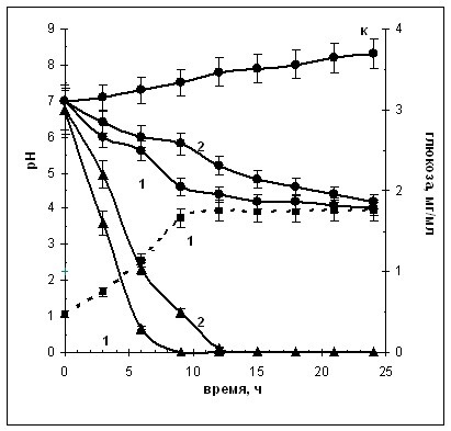 13 Bacteriocine noi de lactococi și utilizarea lor practică