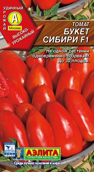 Агрофірма Аеліта, томат букет сибіру, ​​агрофірма, насіння, садовий інвентар, Аеліта, Аіліт, ailita