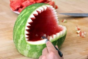 Shark gura de pe pepene verde cu propriile mâini