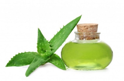 Aloe vera (prezent) compoziție, proprietăți medicinale de extract, gel, suc, aplicare,