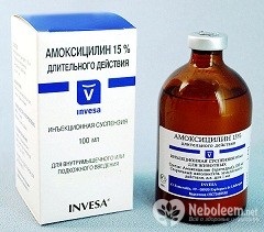 Amoxicilina - instrucțiuni, aplicații, recenzii