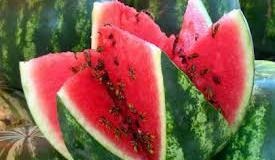 Dieta pepene verde pentru meniul de slăbire de vară, recenzii, rezultate