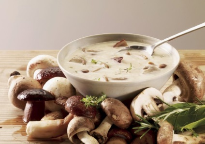 Fehér gomba gombák - receptek a fehér gombóc gombából, főzés