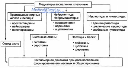 Amine biogene