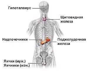 Boli ale sistemului endocrin și ale metabolismului