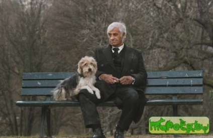 Omul și câinele, originea prieteniei dintre un câine și un bărbat, un colț de viață al on-line